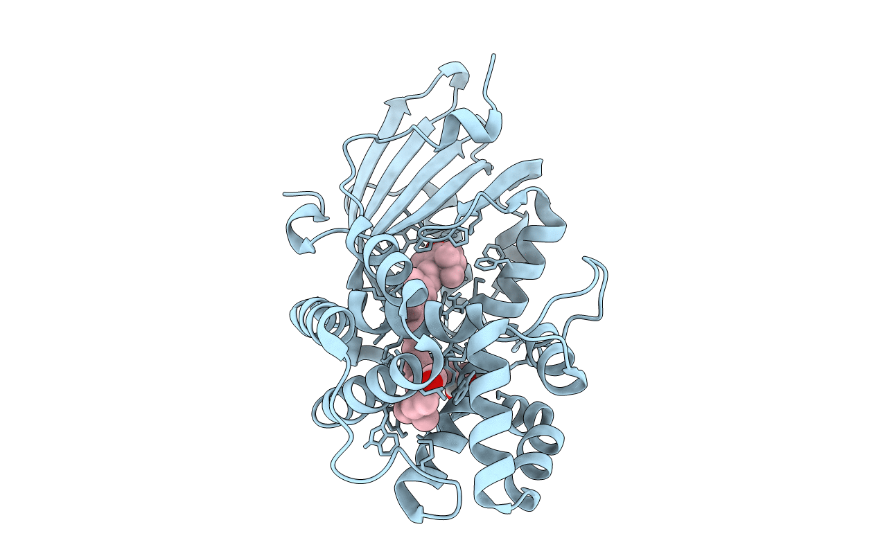 4XB5 image