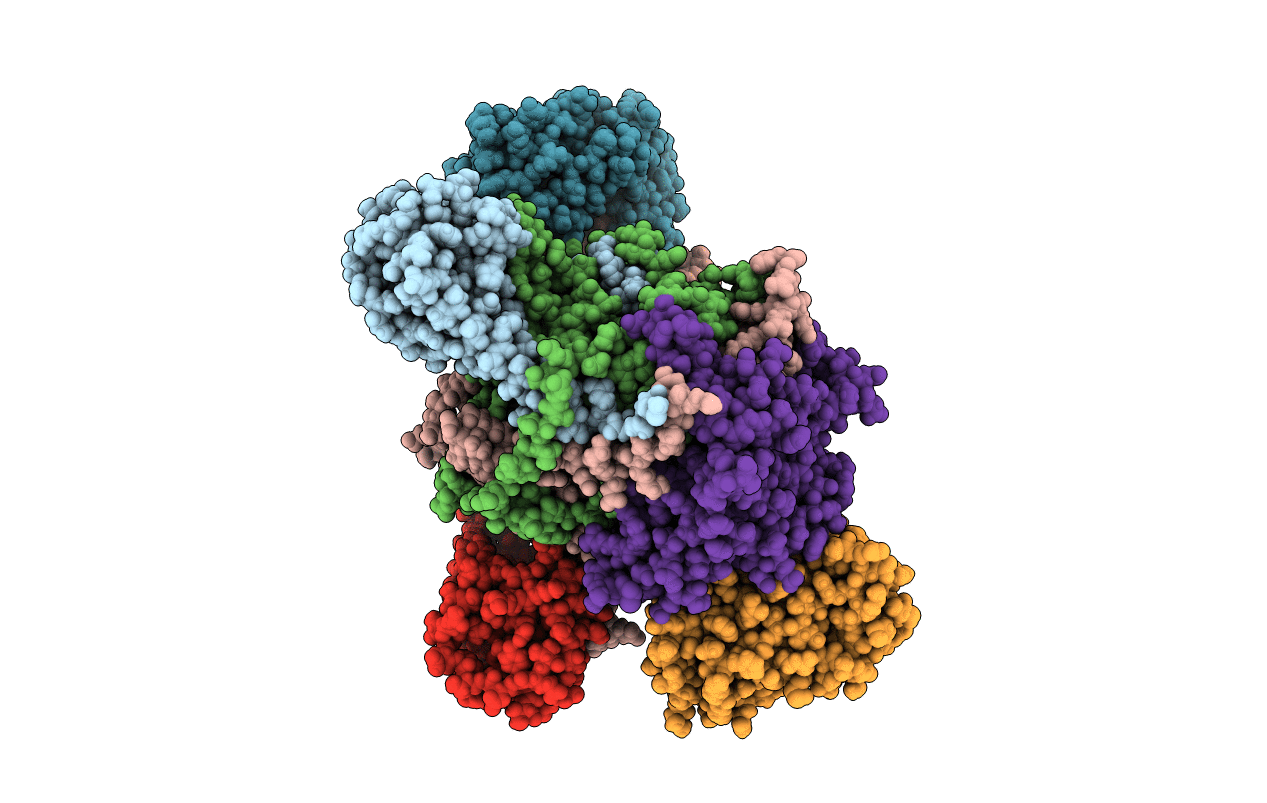 4XB6 image