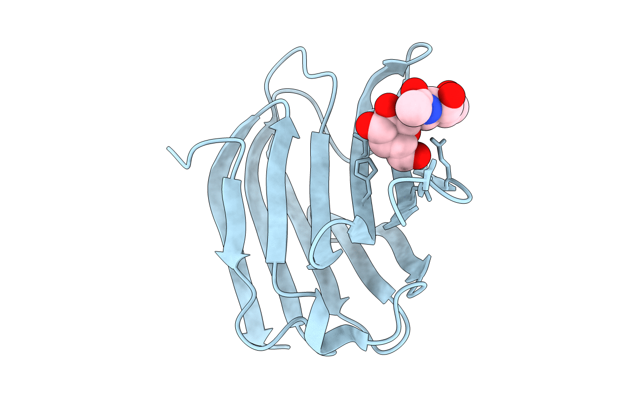 4XBN image