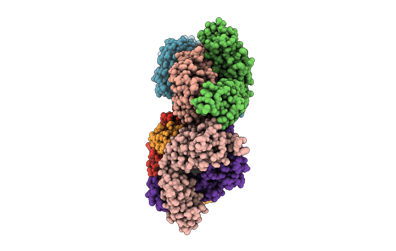 4XBP image