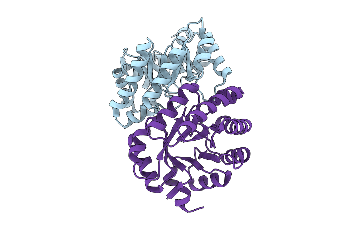4XBS image