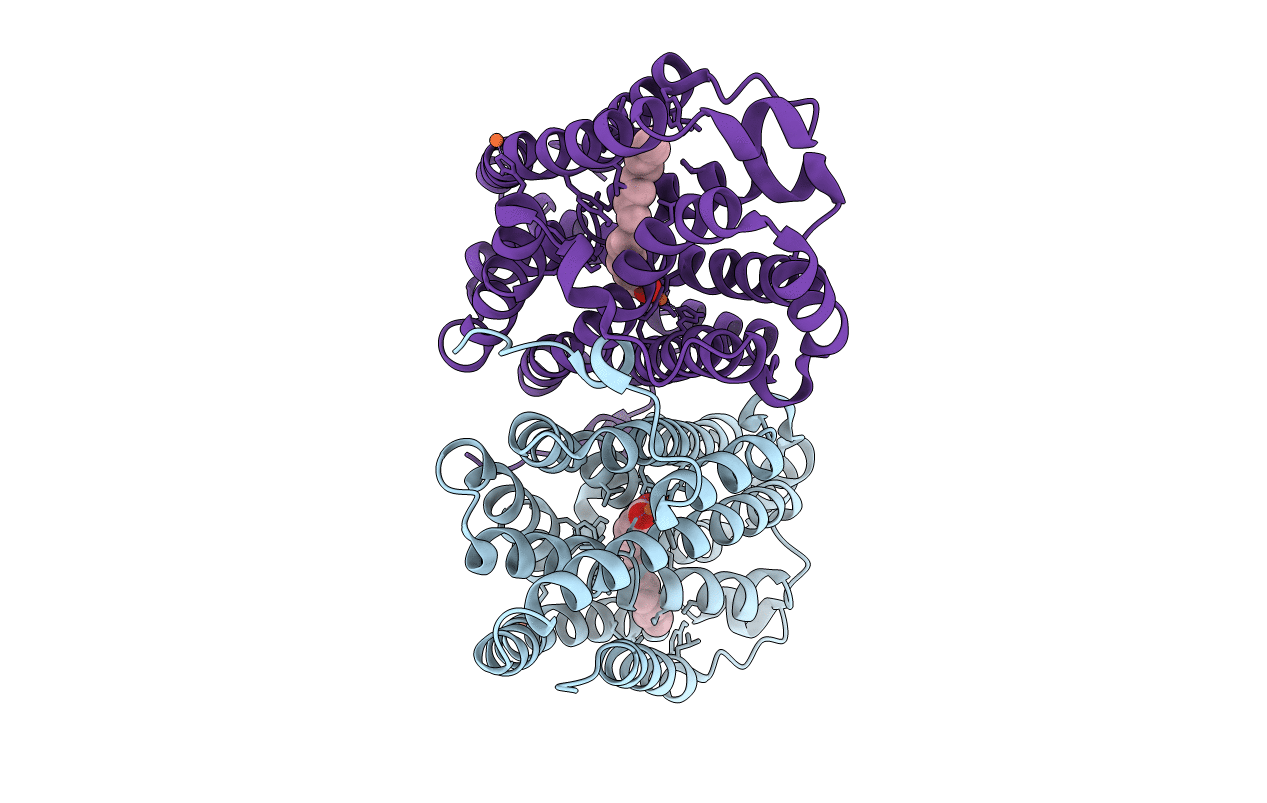 4XBV image