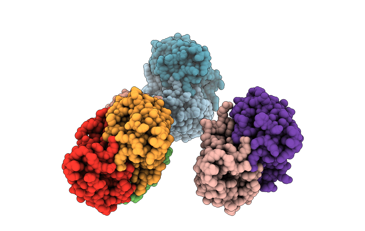 4XBY image