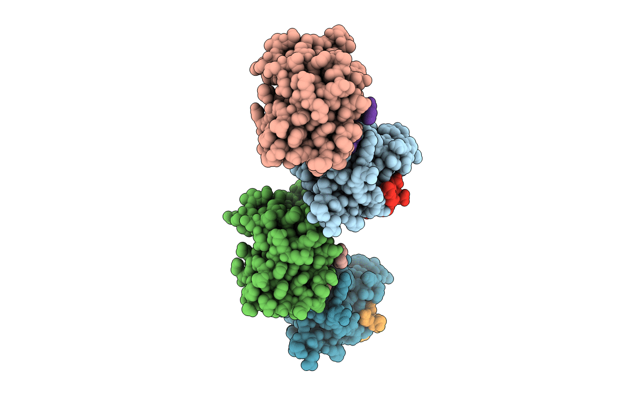 4XC2 image