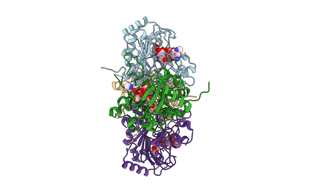 4XCB image