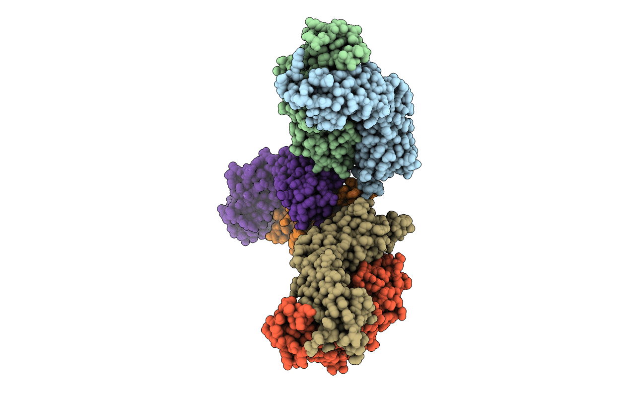 4XCE image