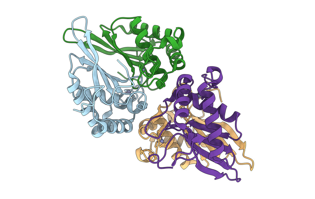 4XCH image