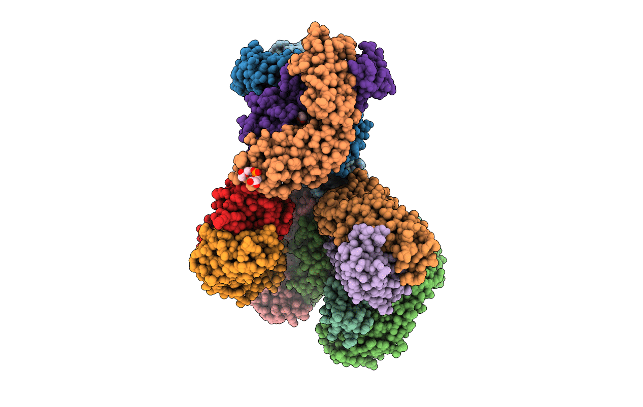 4XCY image