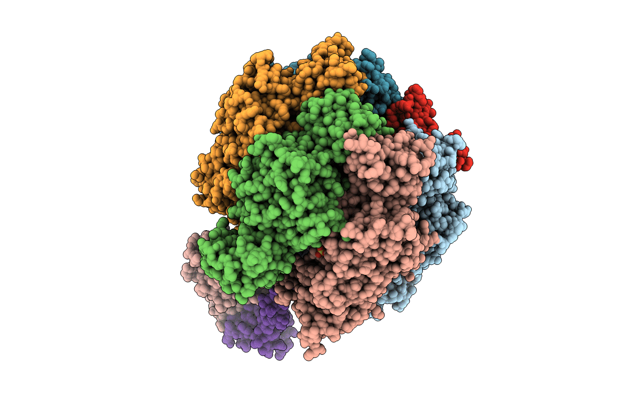 4XD7 image