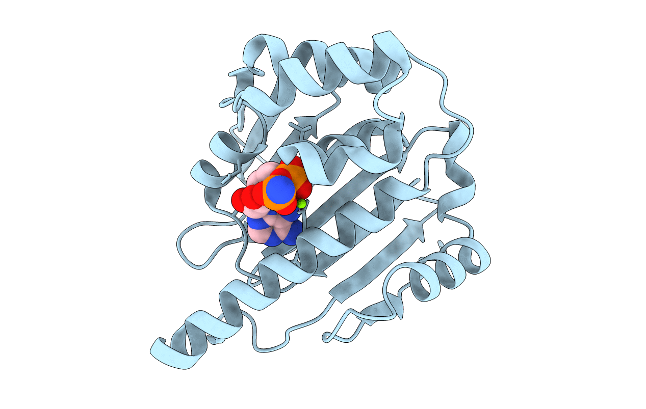 4XD8 image