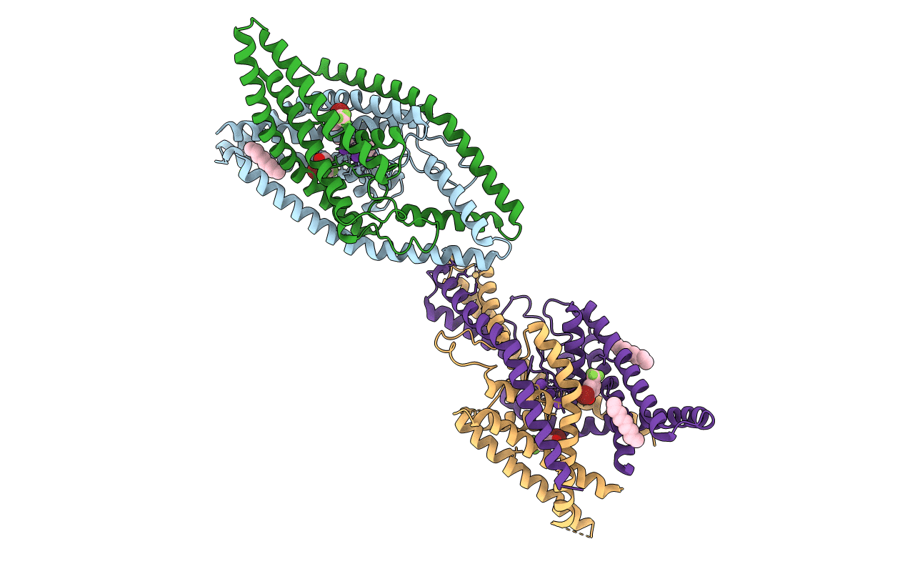 4XDL image