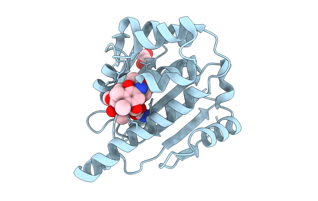 4XDM image