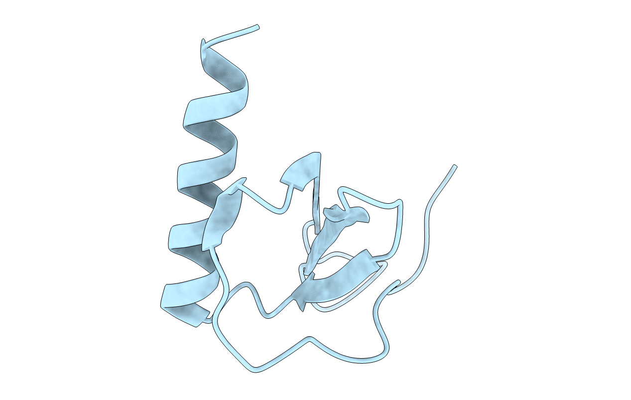 4XDX image