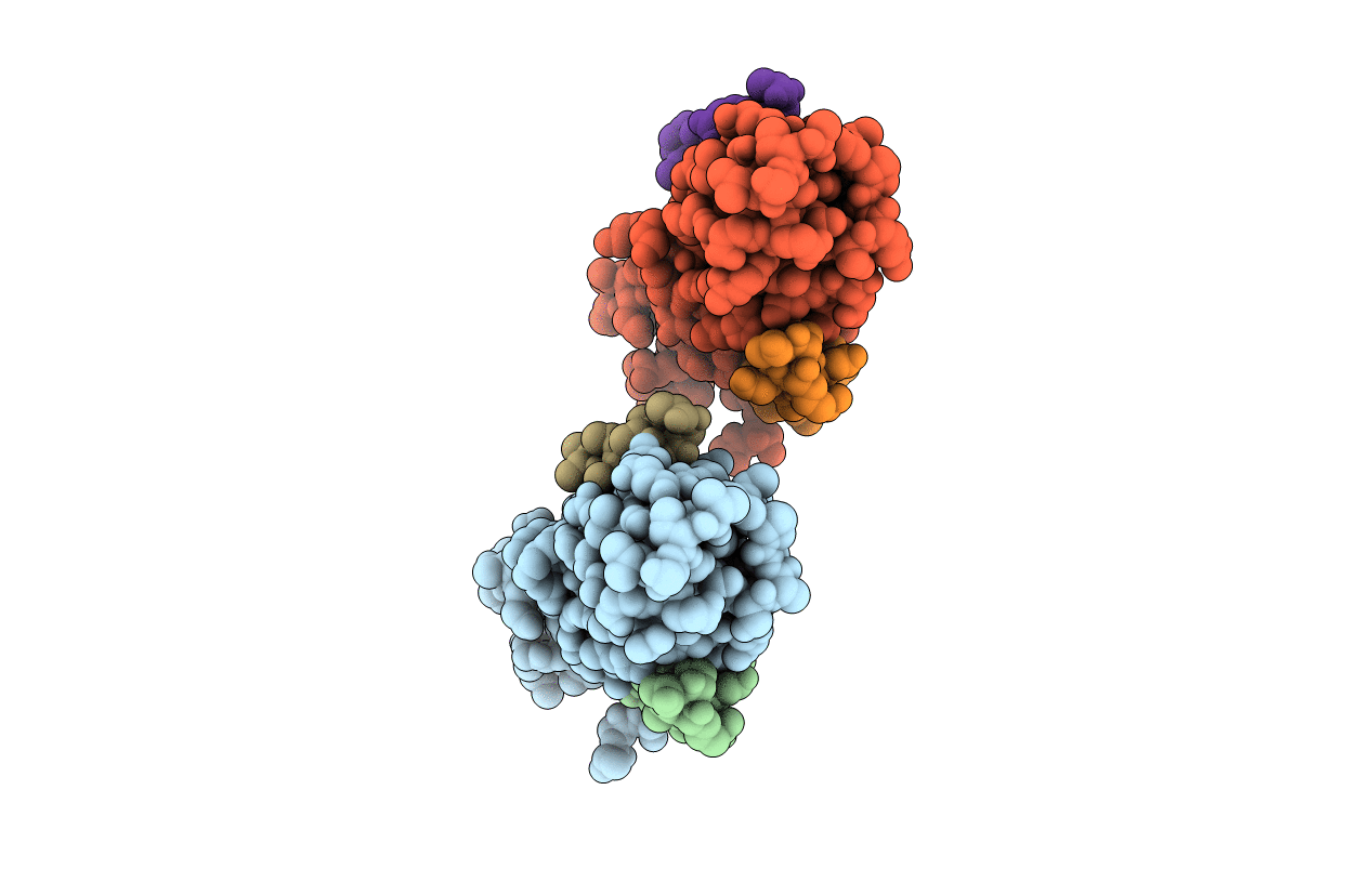 4XEF image