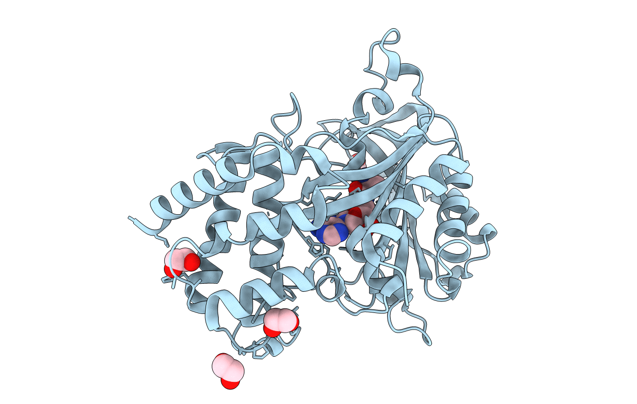 4XEM image