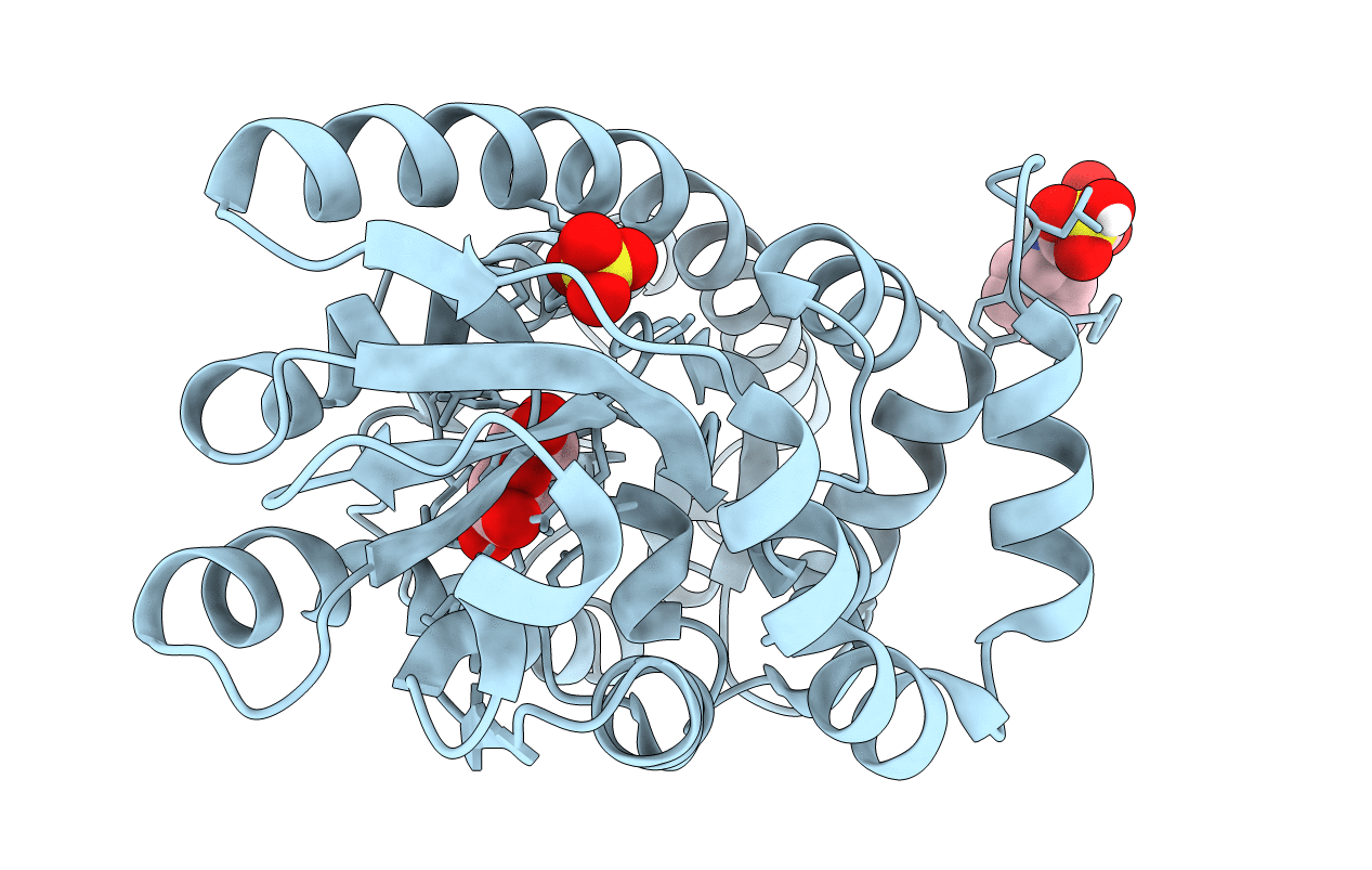 4XFE image