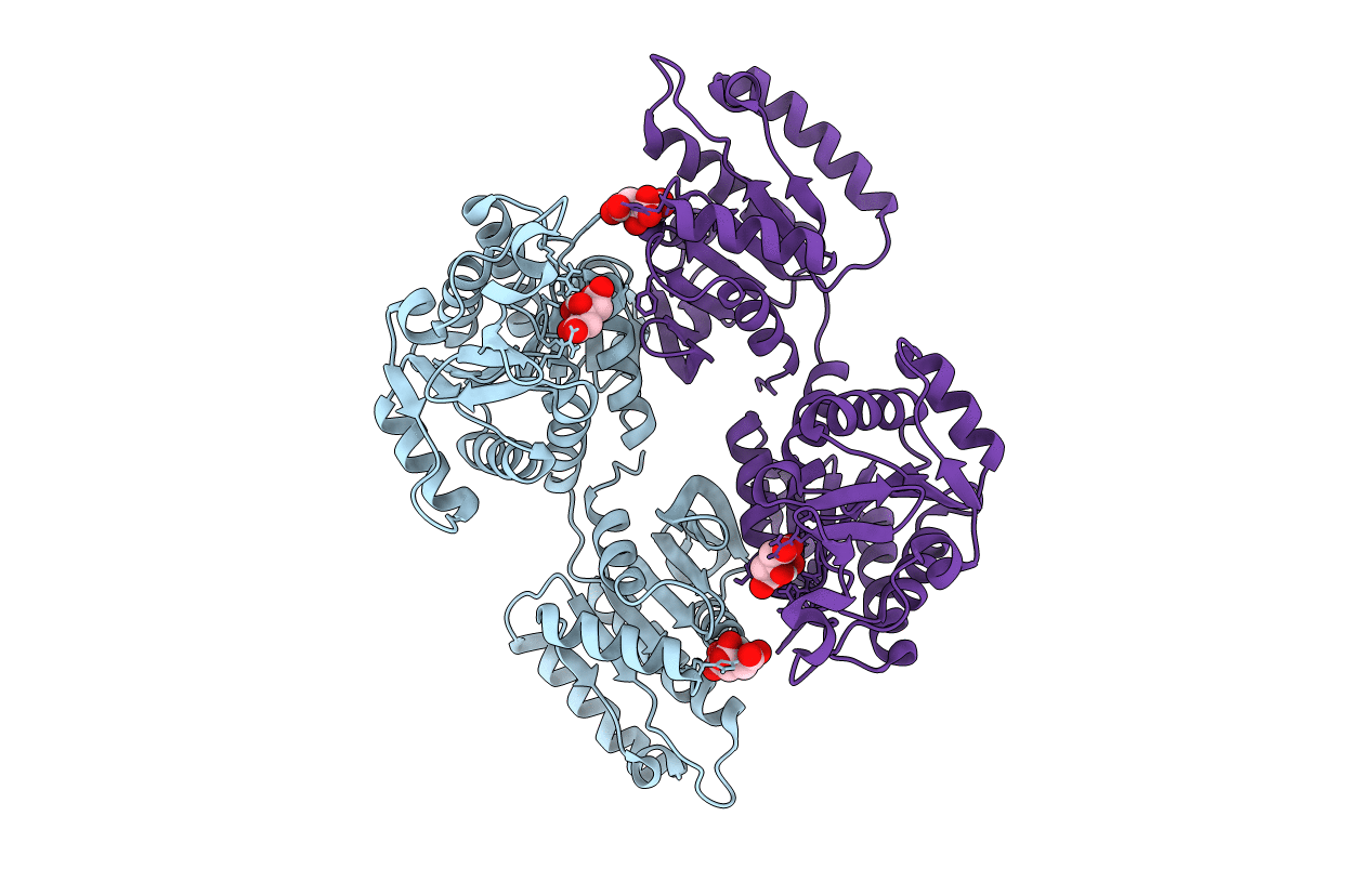 4XFR image