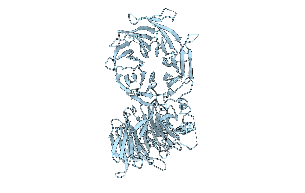 4XFV image