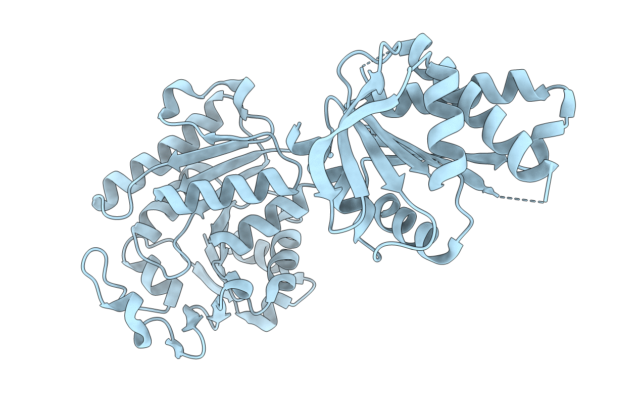 4XGJ image