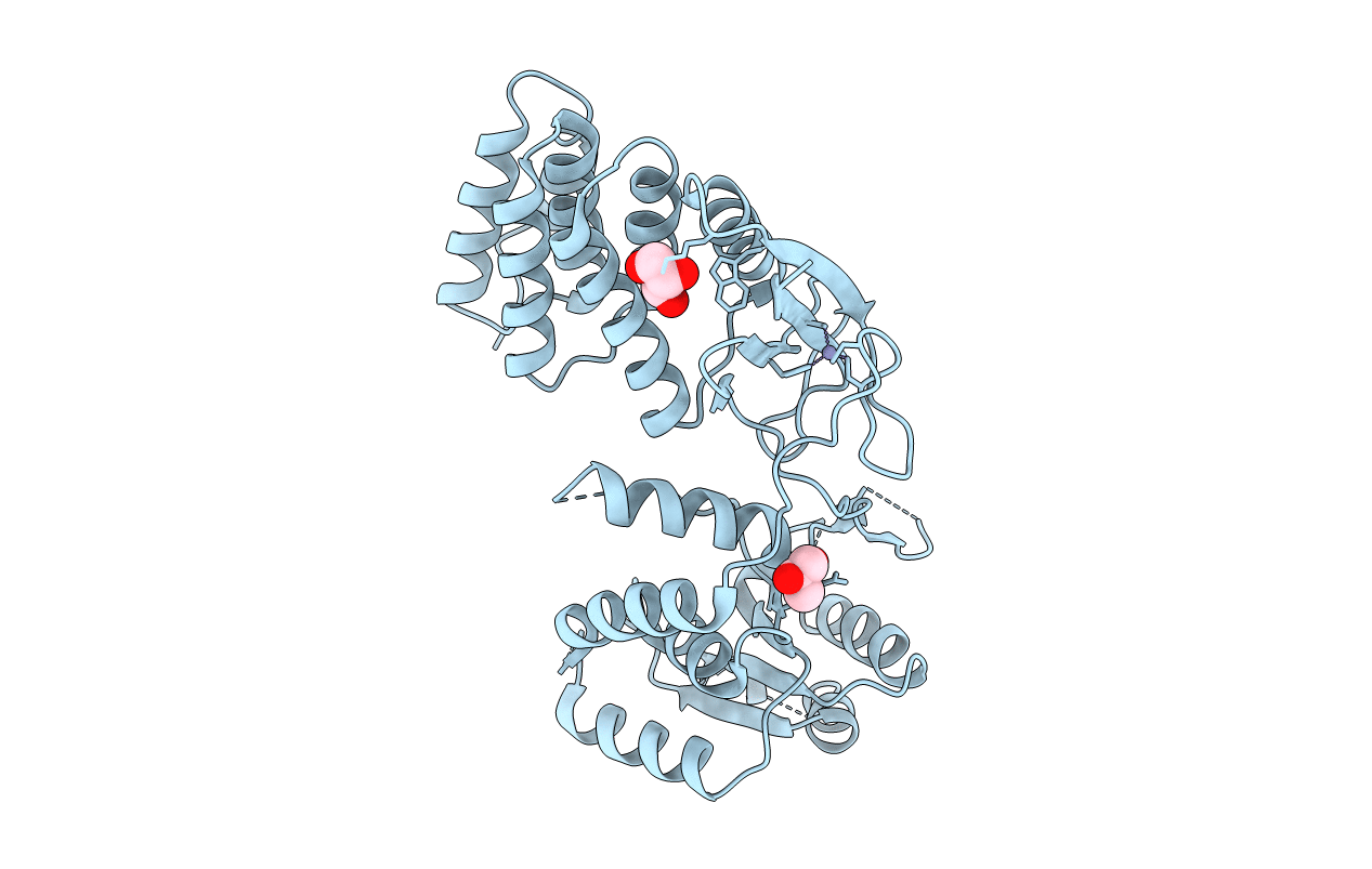 4XGM image
