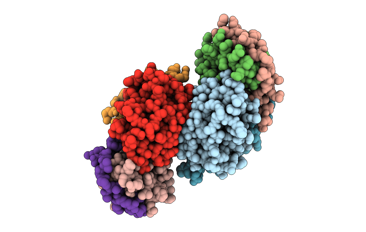 4XGR image
