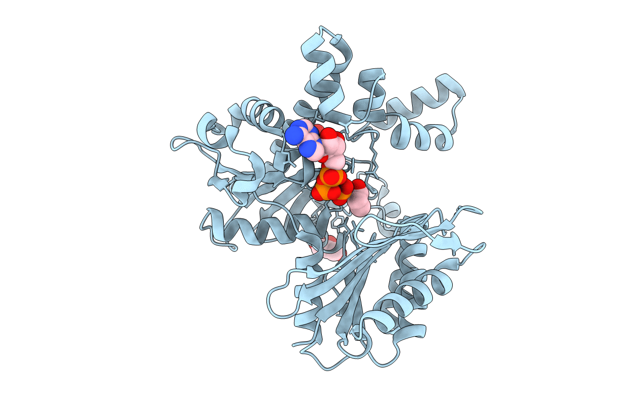 4xh1 image
