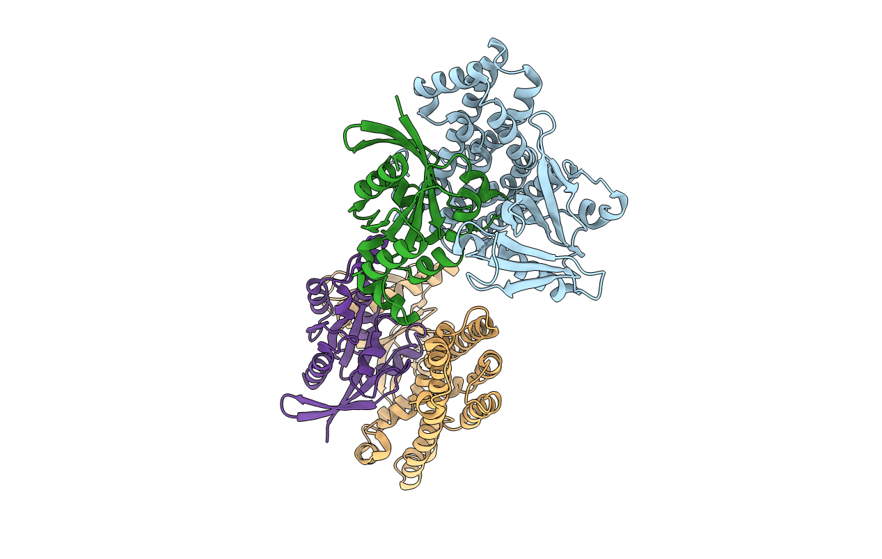 4XH9 image