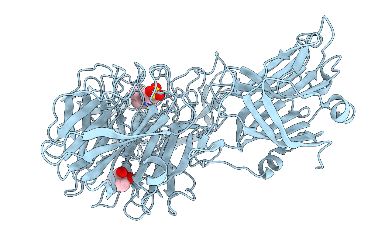 4XHB image