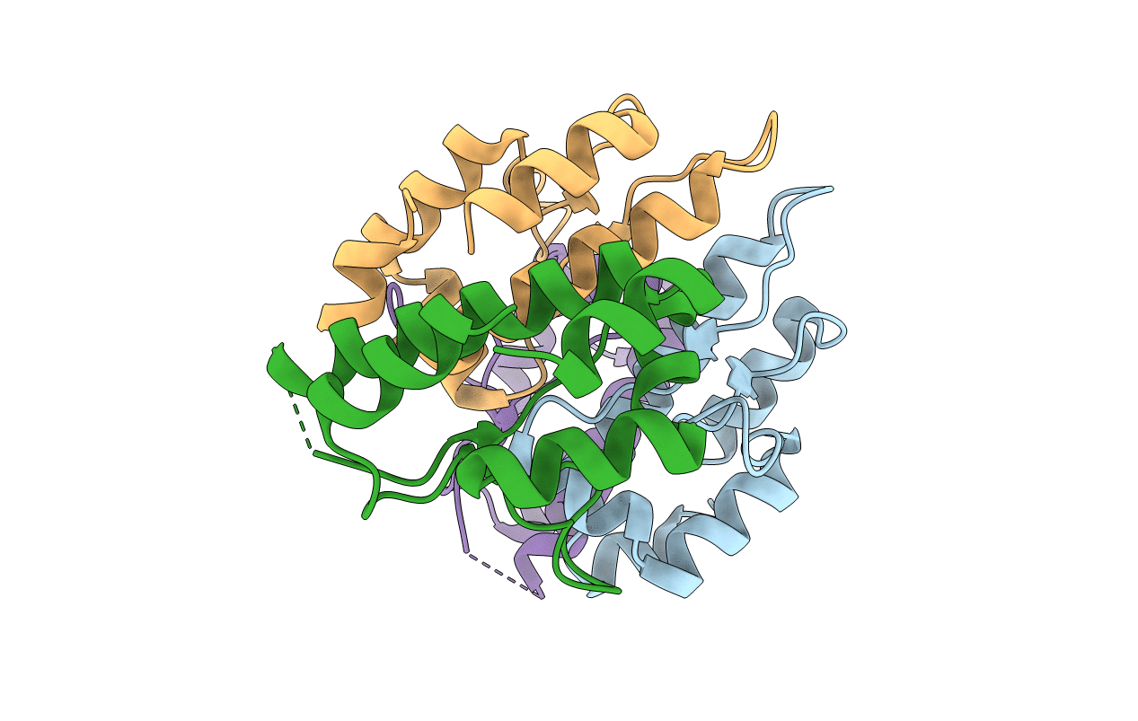 4XHT image
