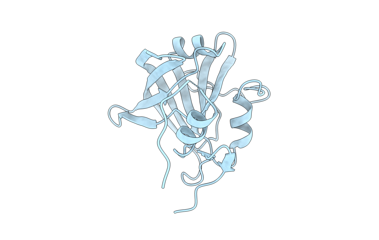 4XHY image