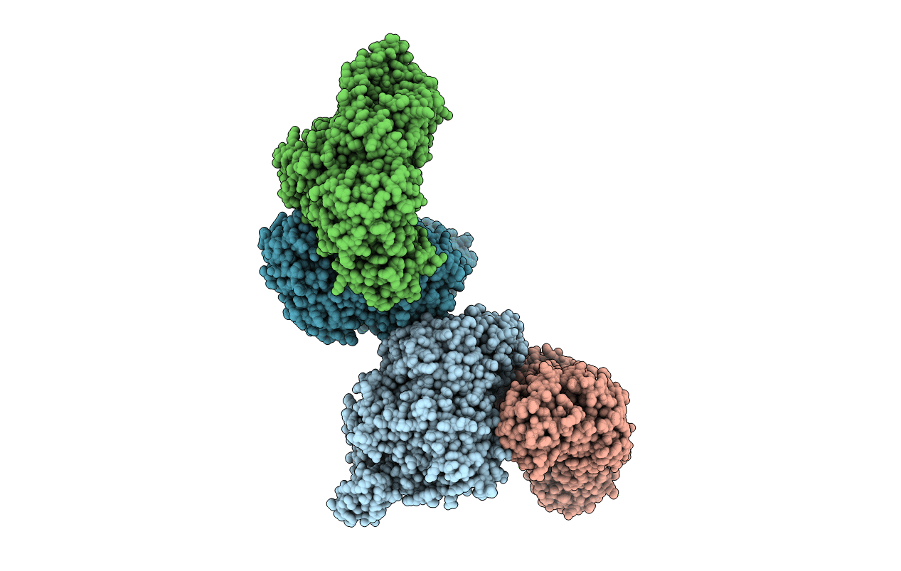 4XI9 image