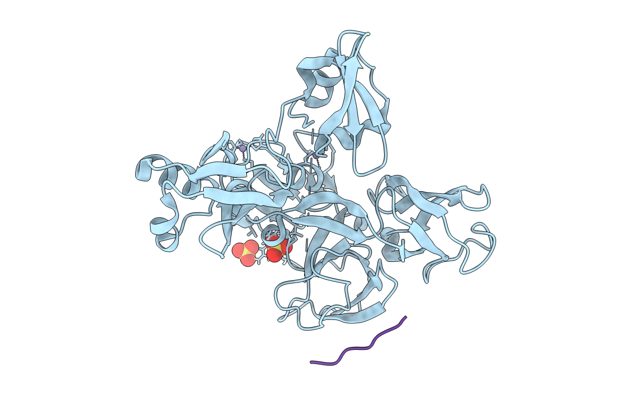 4XIB image