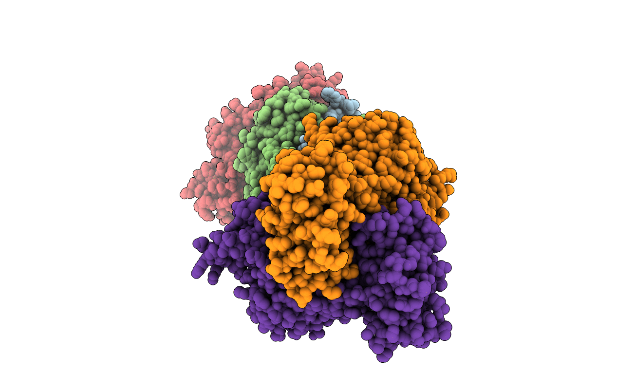 4XIG image
