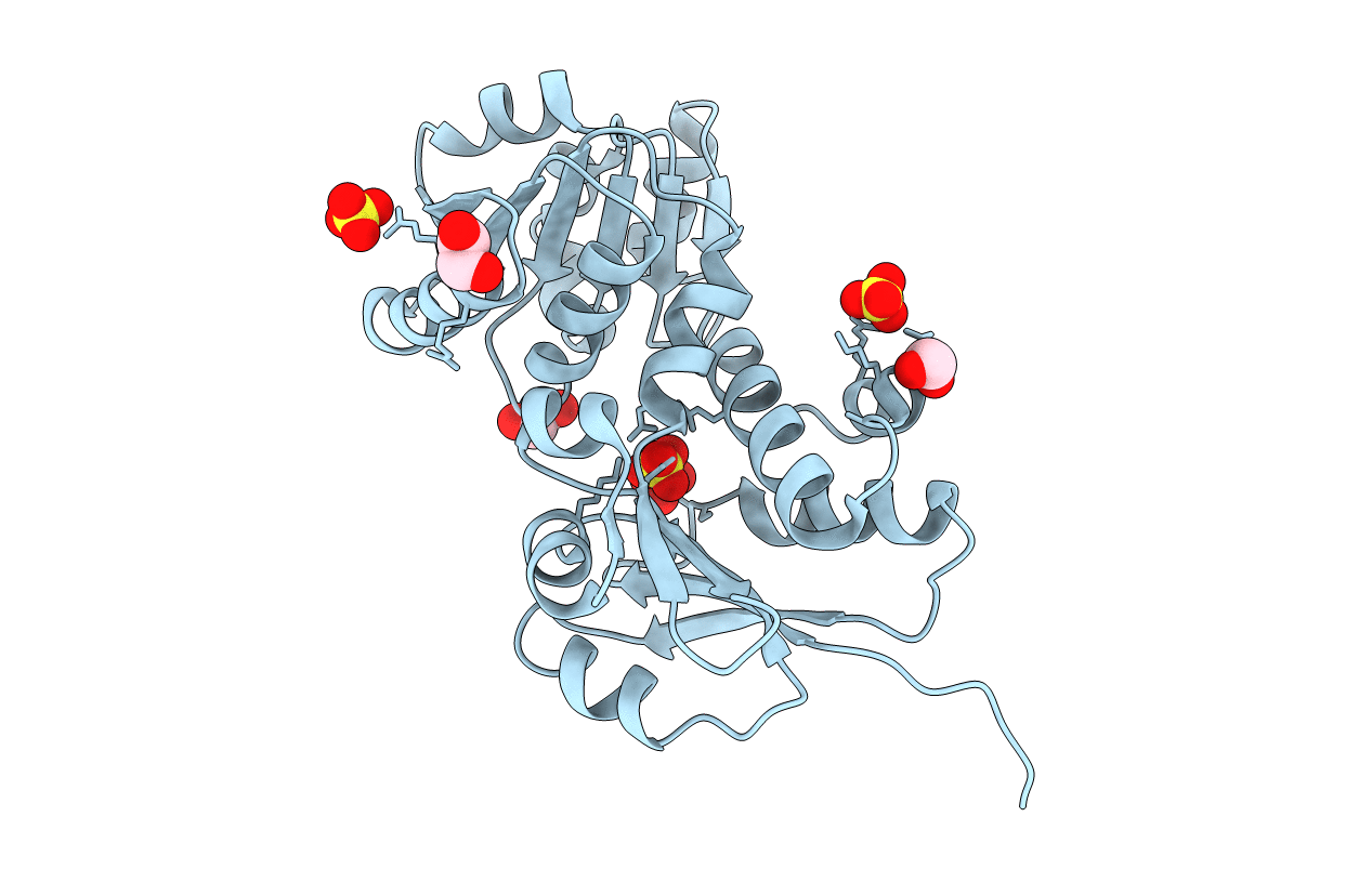 4XIJ image