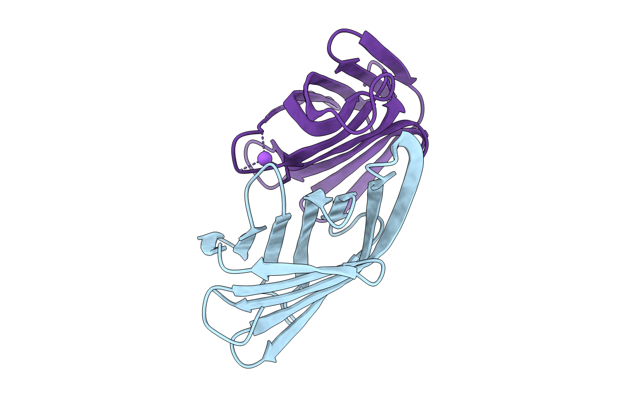 4XIN image