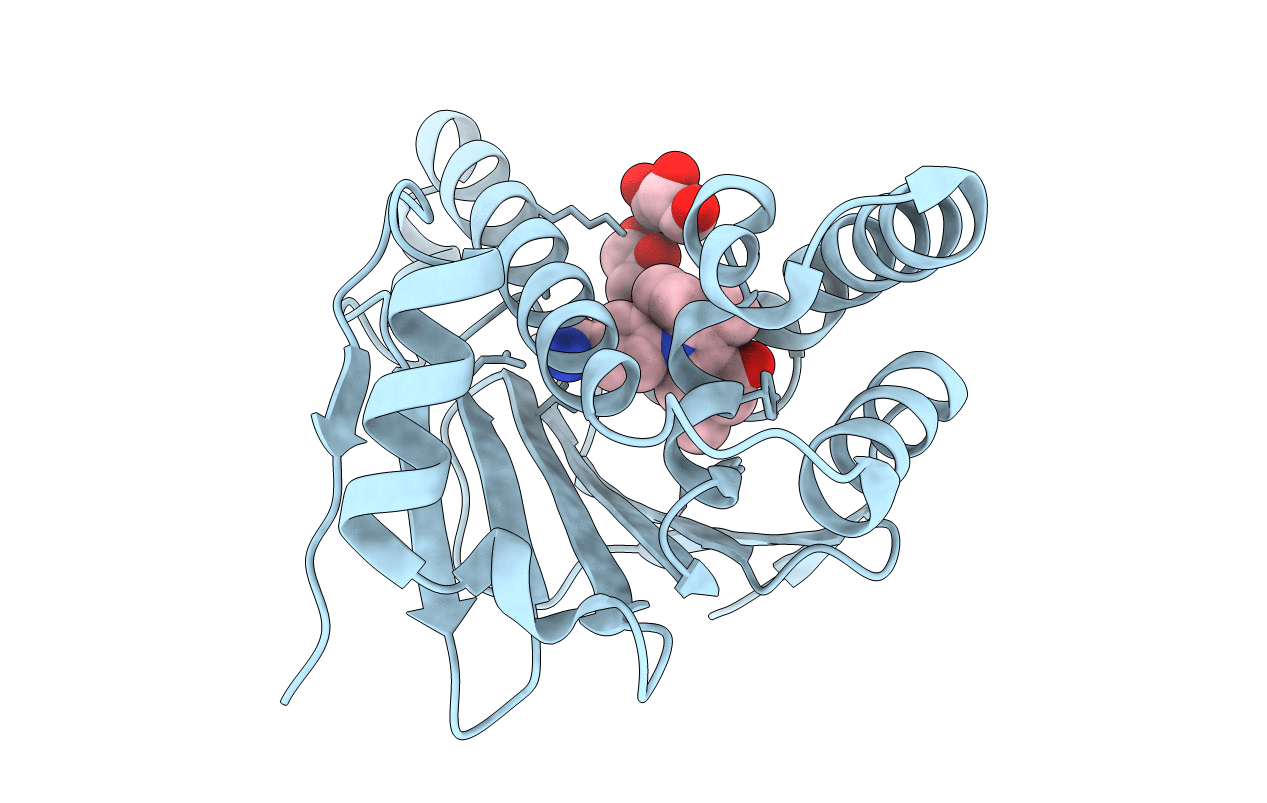 4XIQ image