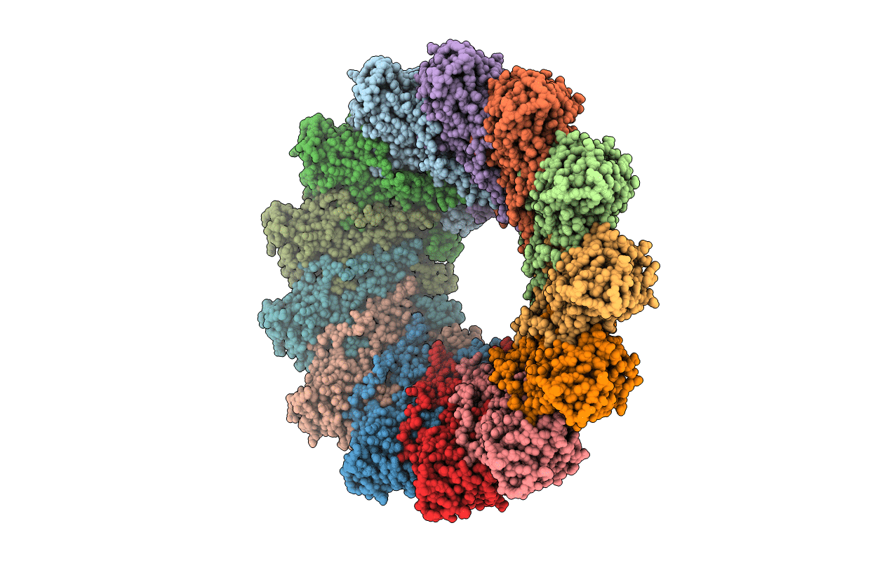 4XJN image