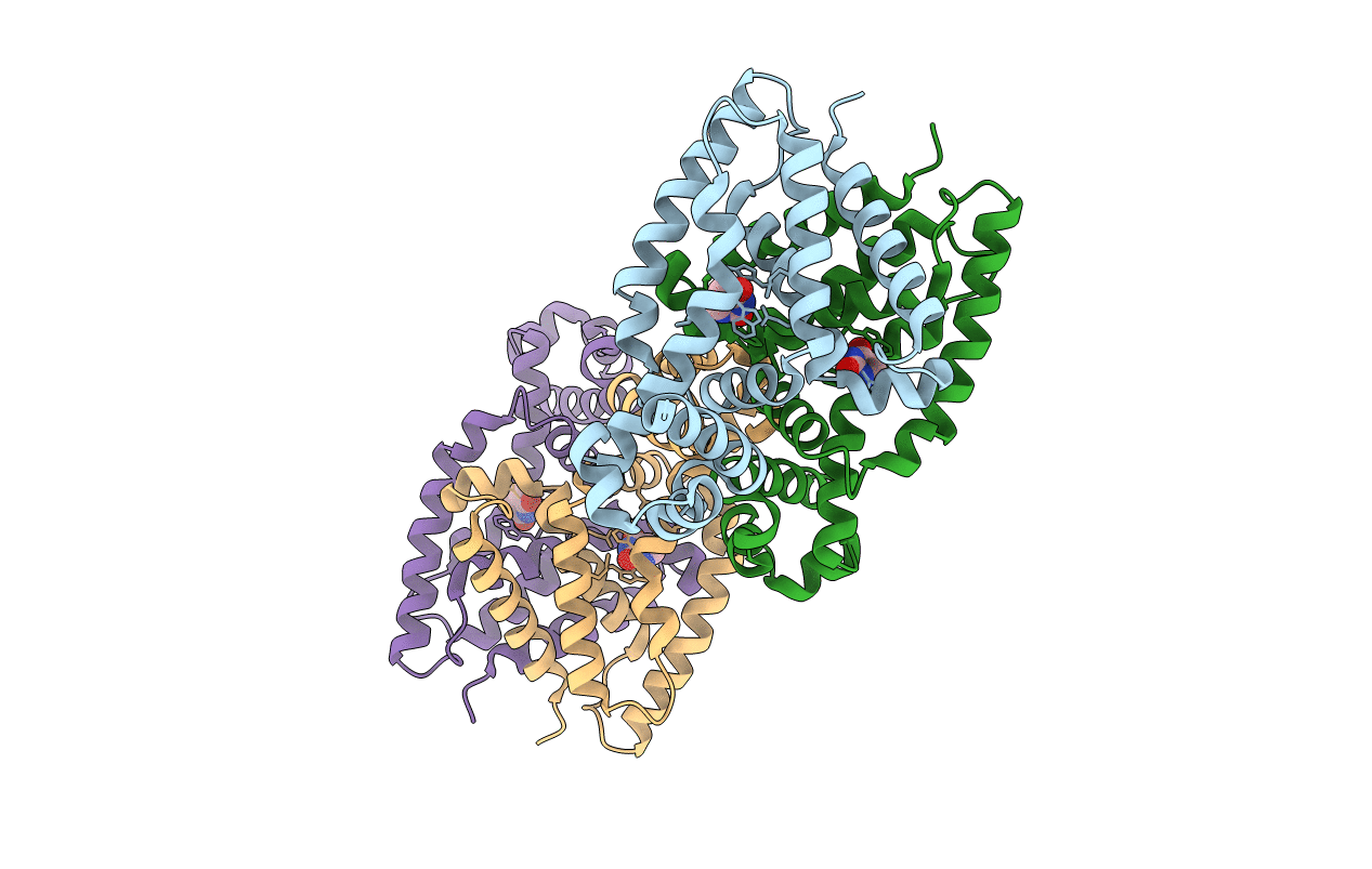 4XK4 image