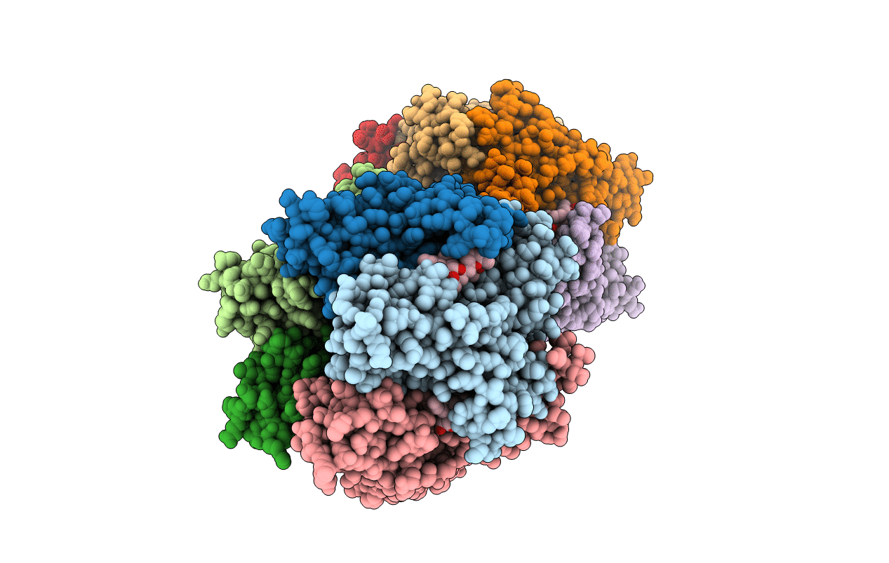 4XK9 image