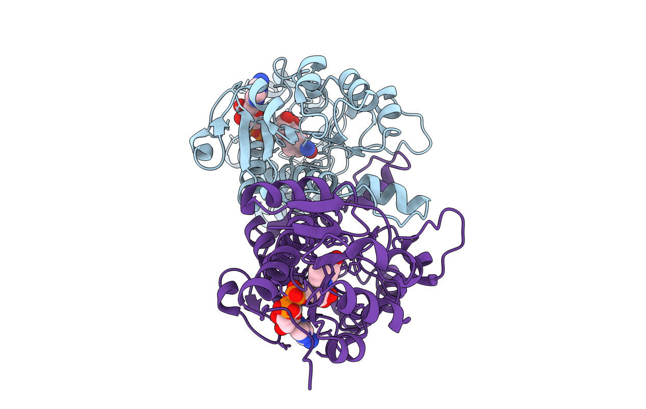 4XKJ image