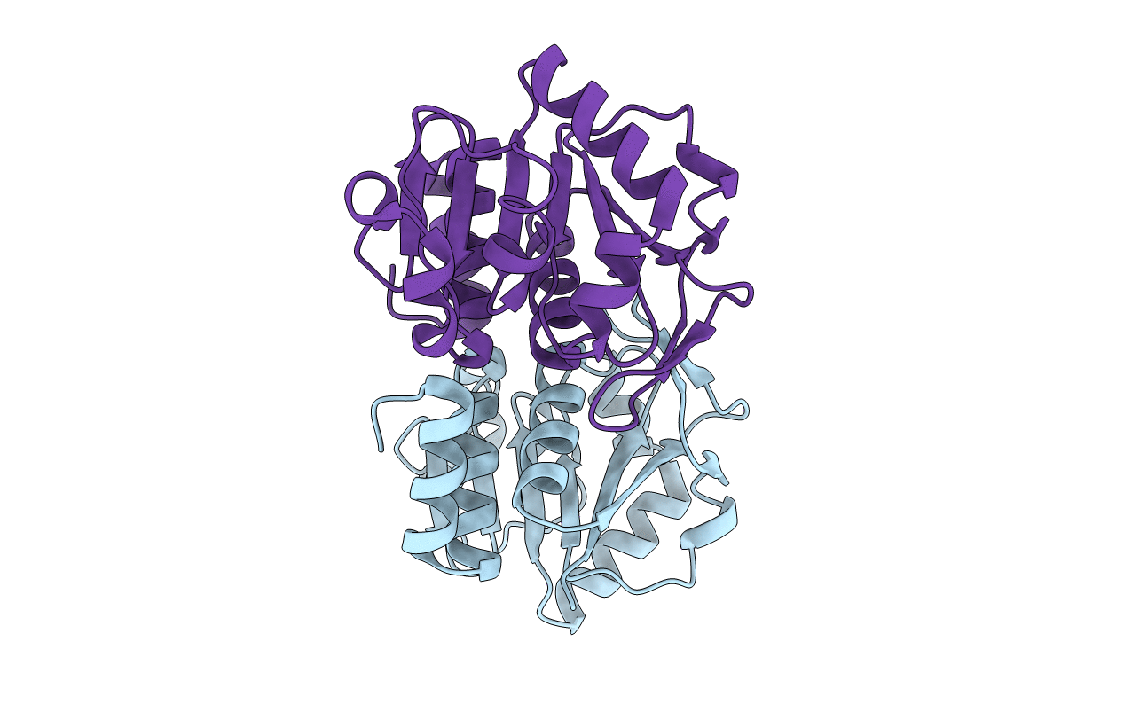 4XLL image