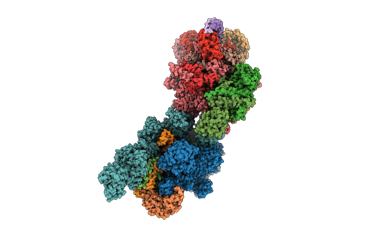 4XLR image