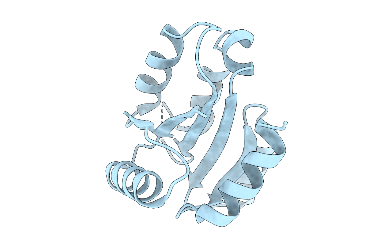 4XLT image