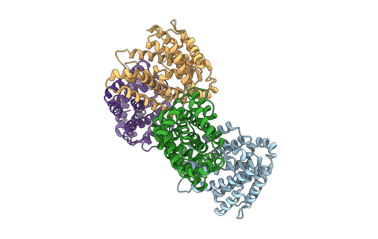 4XLX image