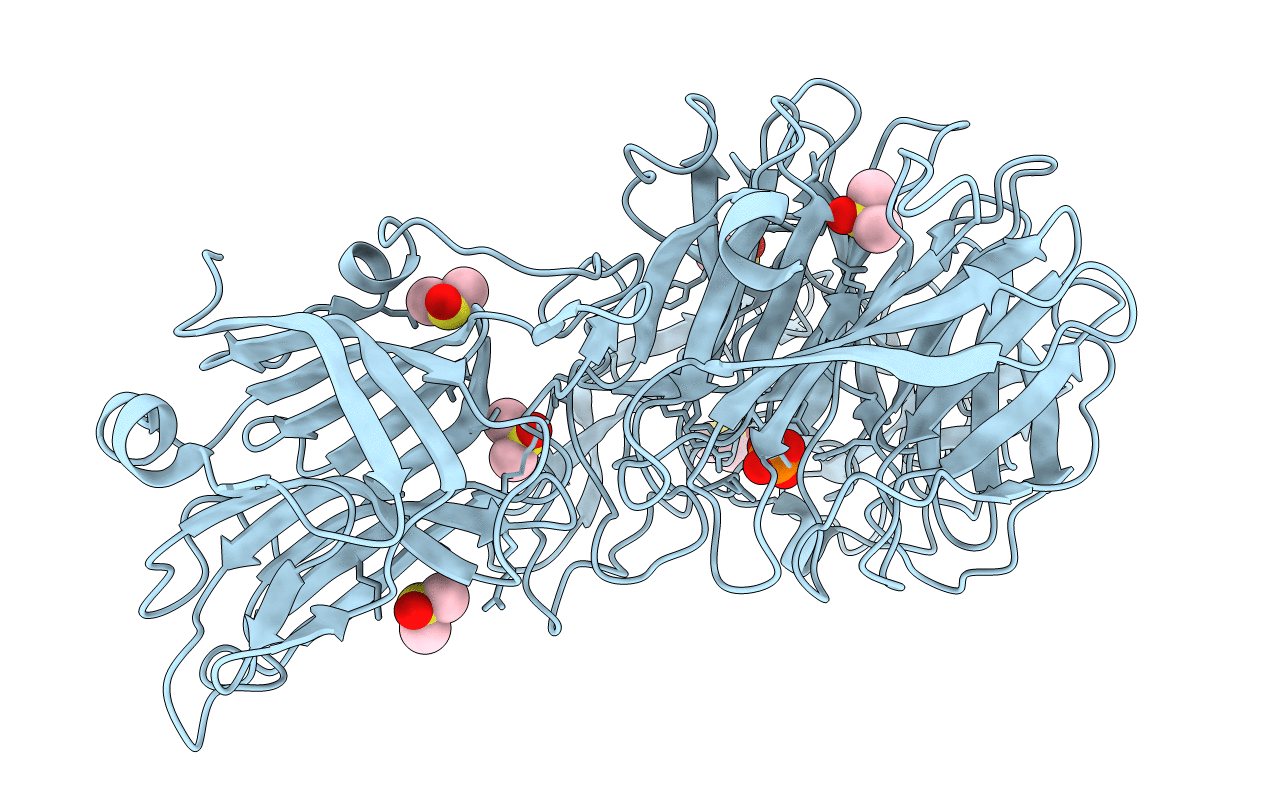 4XMI image