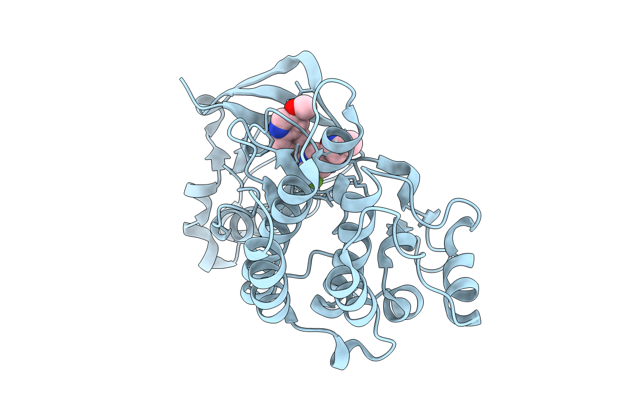 4XMO image