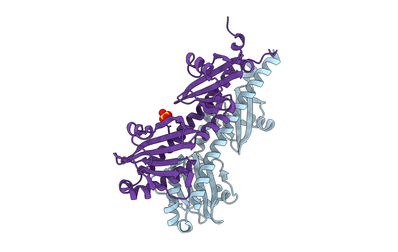 4XMQ image