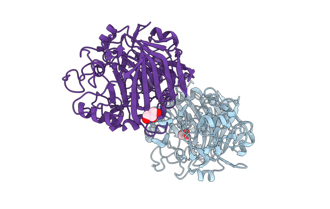 4XNN image
