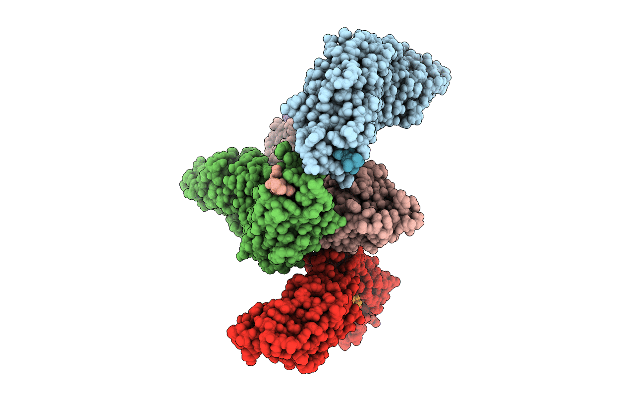 4XOA image