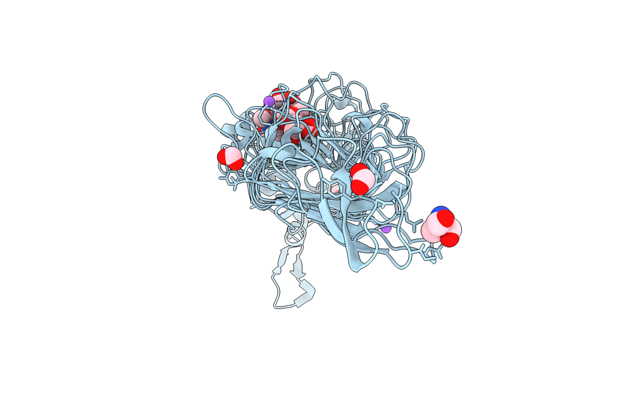 4XOR image